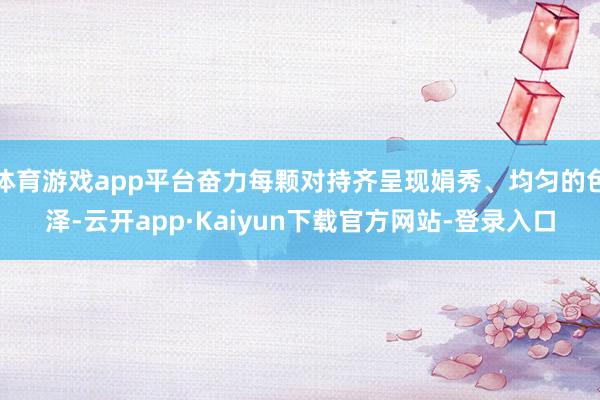 体育游戏app平台奋力每颗对持齐呈现娟秀、均匀的色泽-云开app·Kaiyun下载官方网站-登录入口